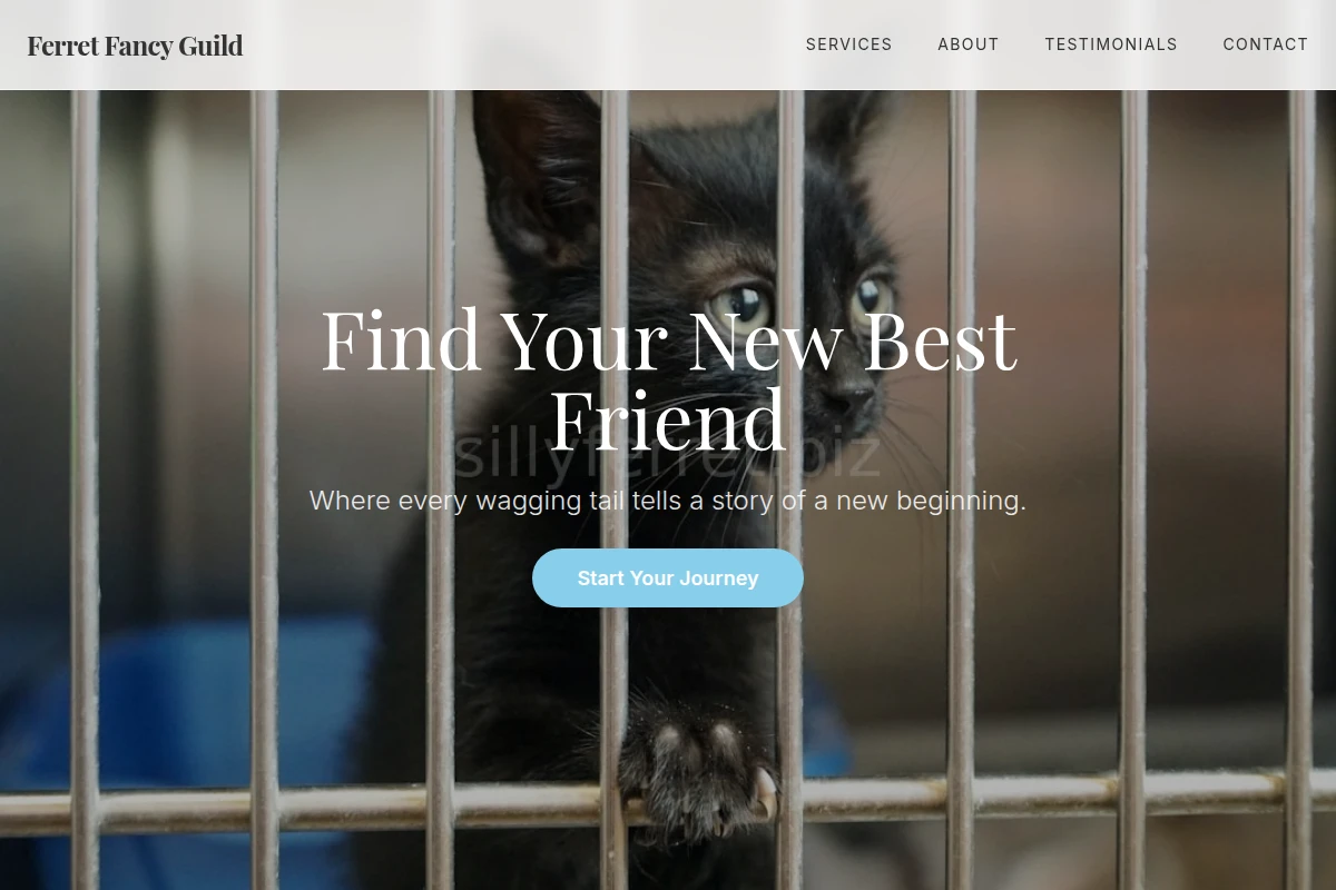 Adoption Animal Shelter