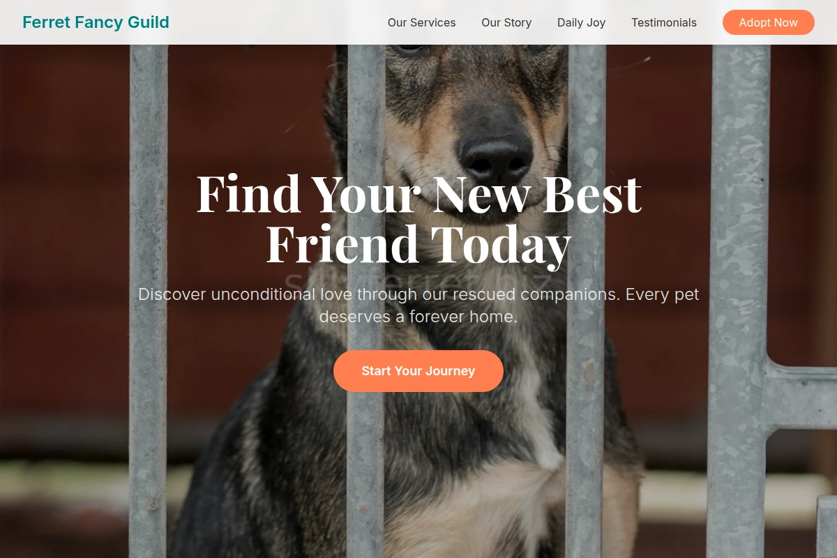 Polish Animal Shelter