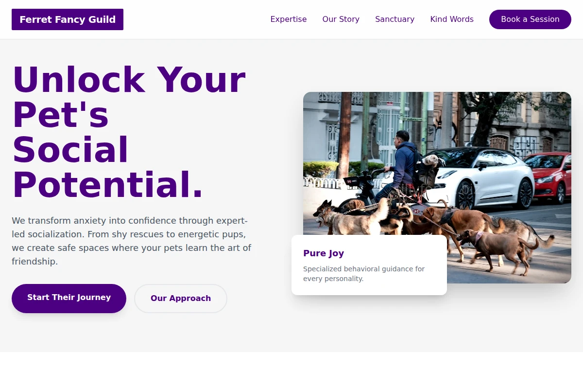 Socialization Pet Services